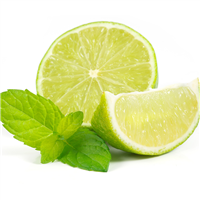 Lime Mint Fragrance Oil 427